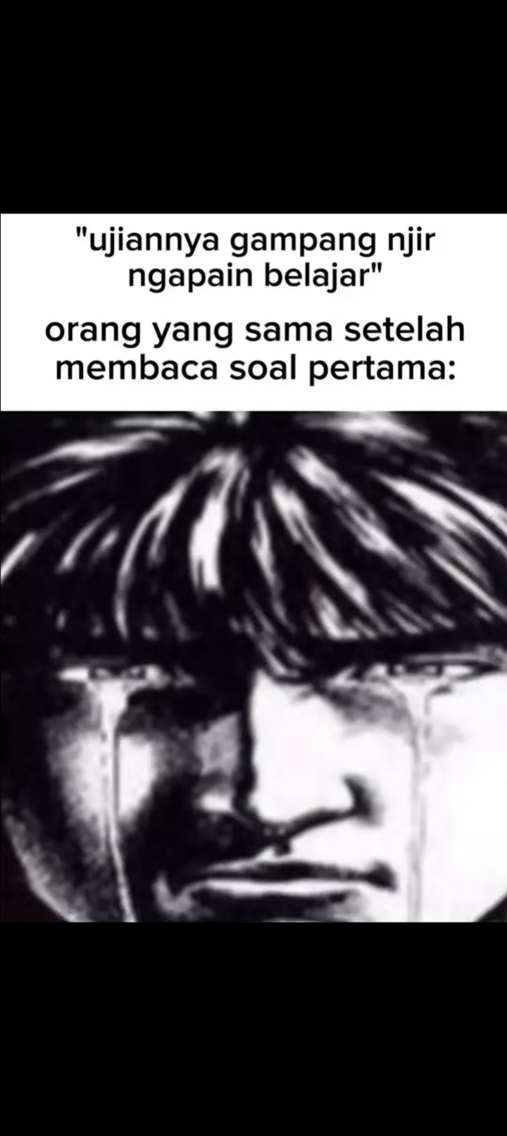 wleowleo